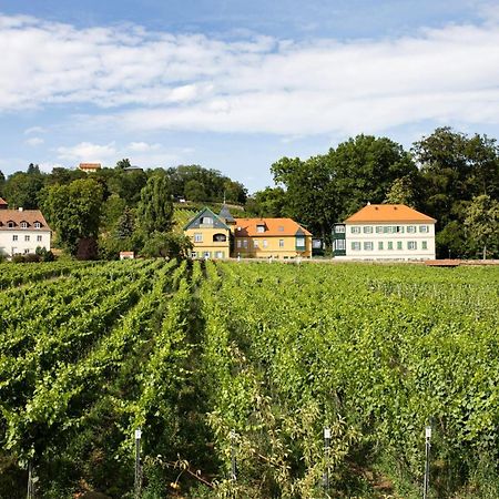 Villa Weingut Haus Steinbach Radebeul Exterior foto