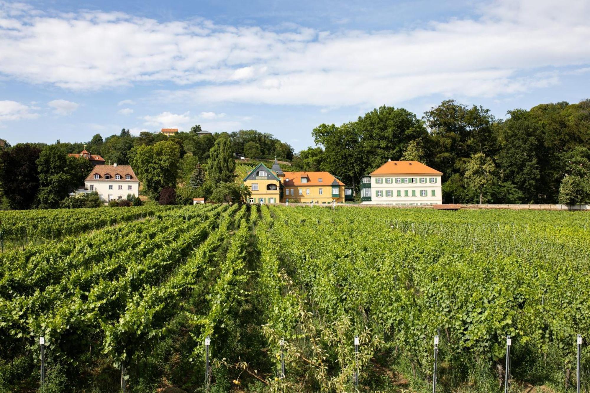 Villa Weingut Haus Steinbach Radebeul Exterior foto