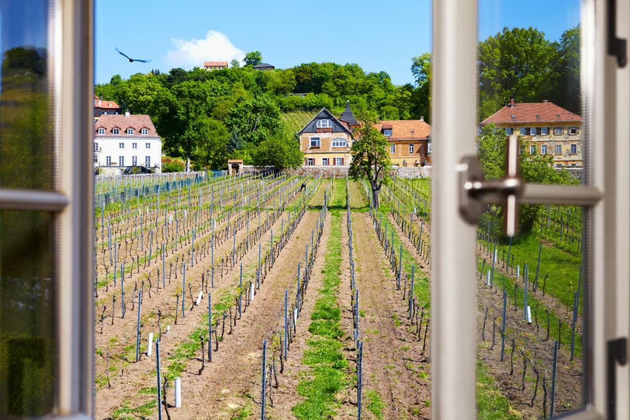 Villa Weingut Haus Steinbach Radebeul Exterior foto