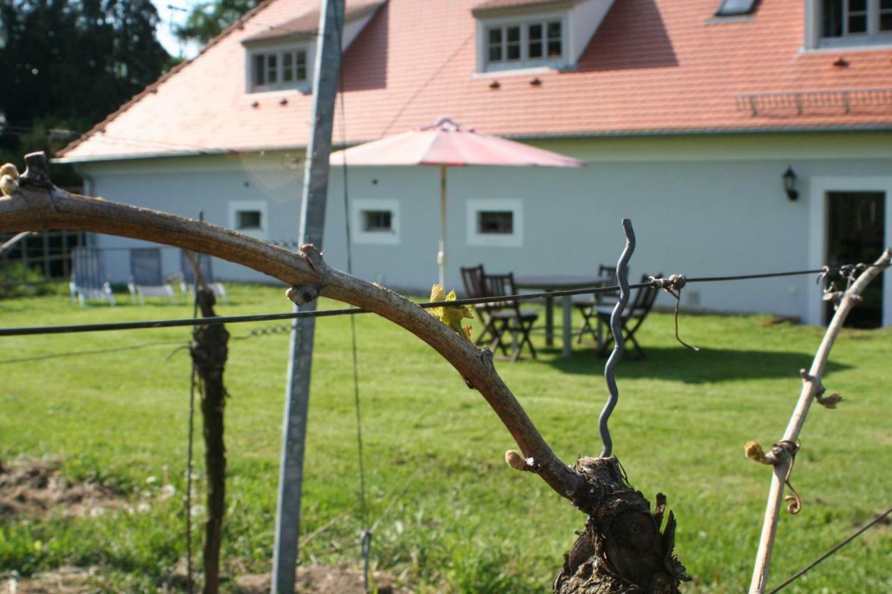 Villa Weingut Haus Steinbach Radebeul Exterior foto